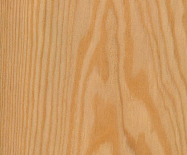 FSC-Crown-Cut-Larch_veneer_from_Shadbolt