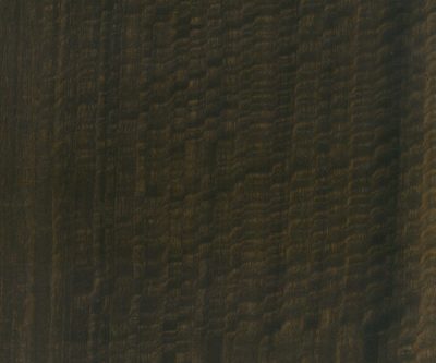 SMOKED-EUCALYPTUS-GREEN-EBONY-13456E