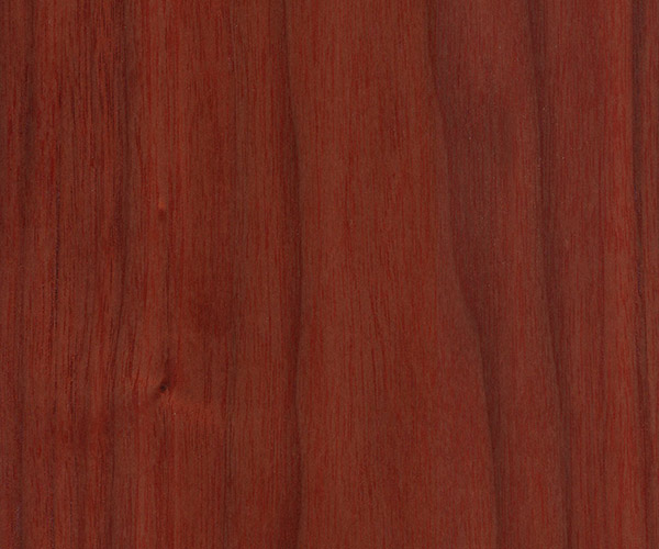 Shadbolt veneer stain 450 CC ABW 20%